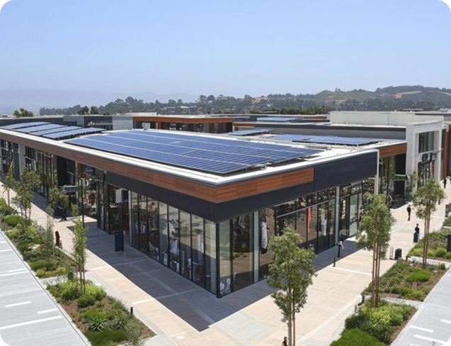 Power Your Business with Solar Energy